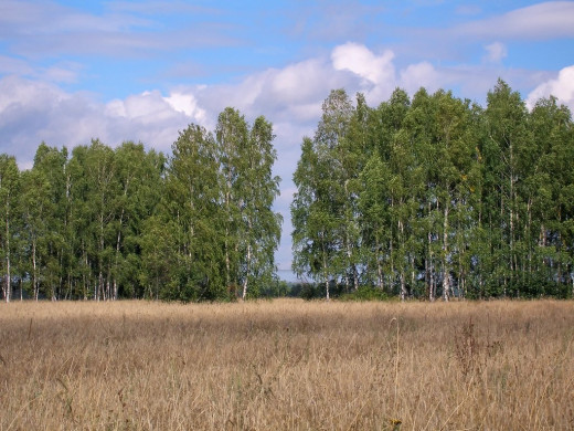 26369 (a): :1024x768